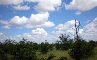 Tuli Wilderness, Botswana, 2013 | Some rights reserved by Matt Artz (courtesy of Flickr Creative Commons) Tuli Wilderness, Botswana, 2013 | Some rights reserved by Matt Artz (courtesy of Flickr Creative Commons)